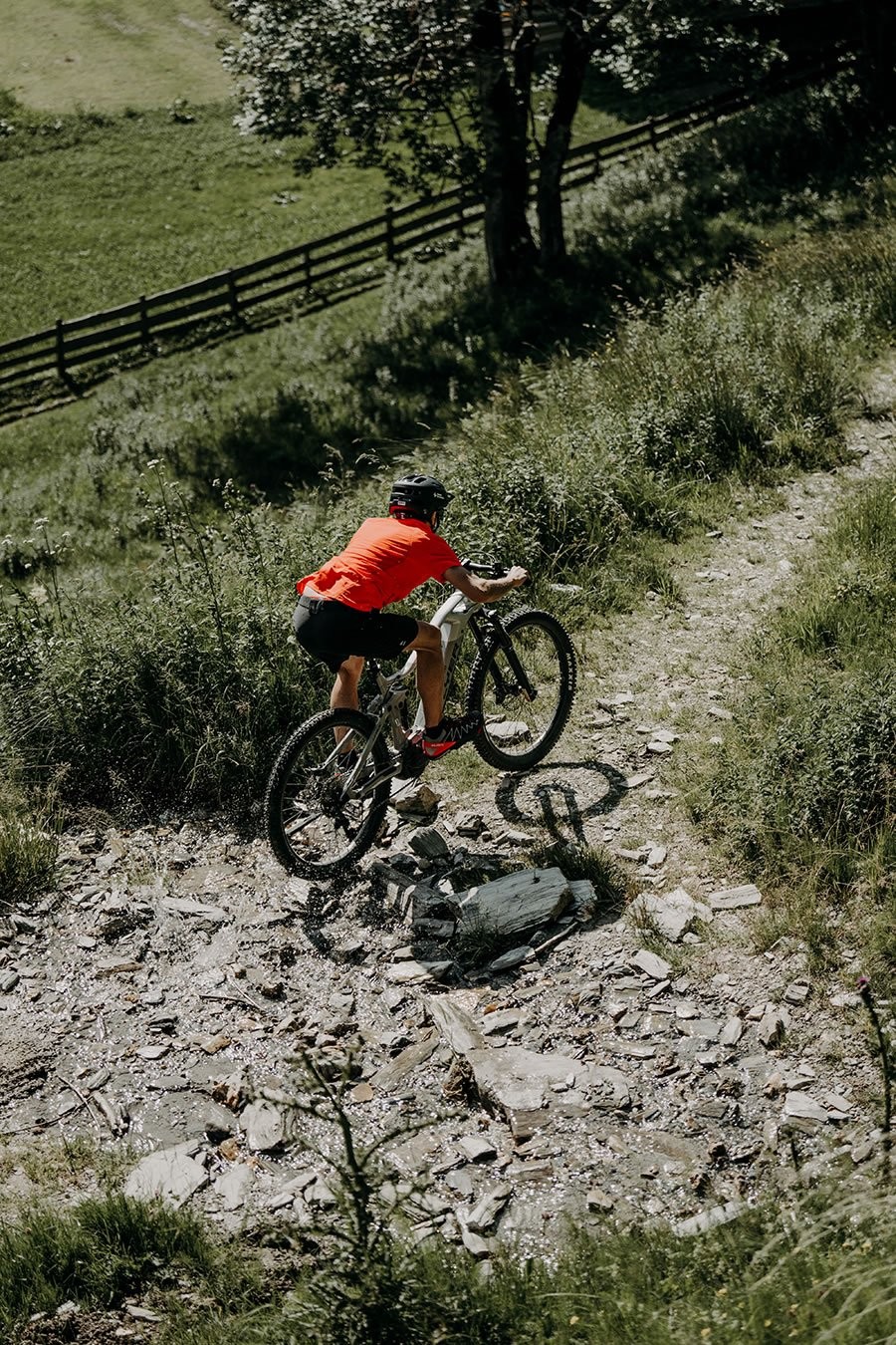 Radfahrer in rotem Trikot auf steinigem Waldweg bergauf unterwegs