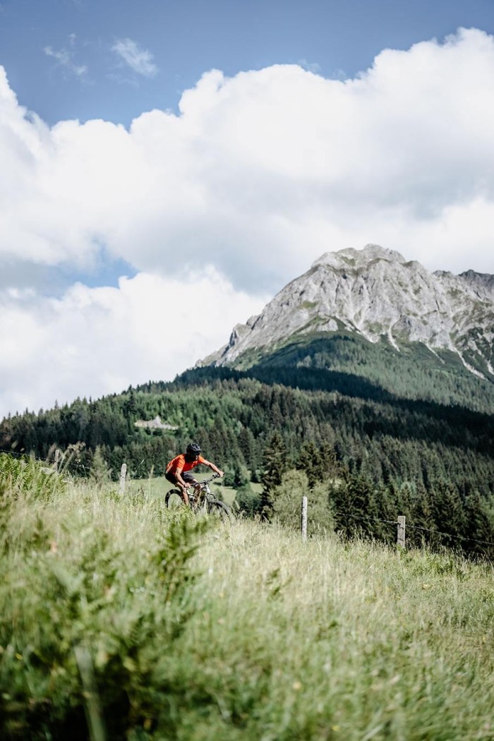 Eine Person fährt auf einem Fahrrad einen Hügel vor einer Bergkulisse hinunter