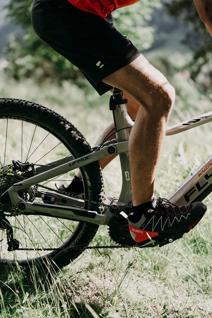 Person auf einem Mountainbike in einer grünen, sonnigen Umgebung