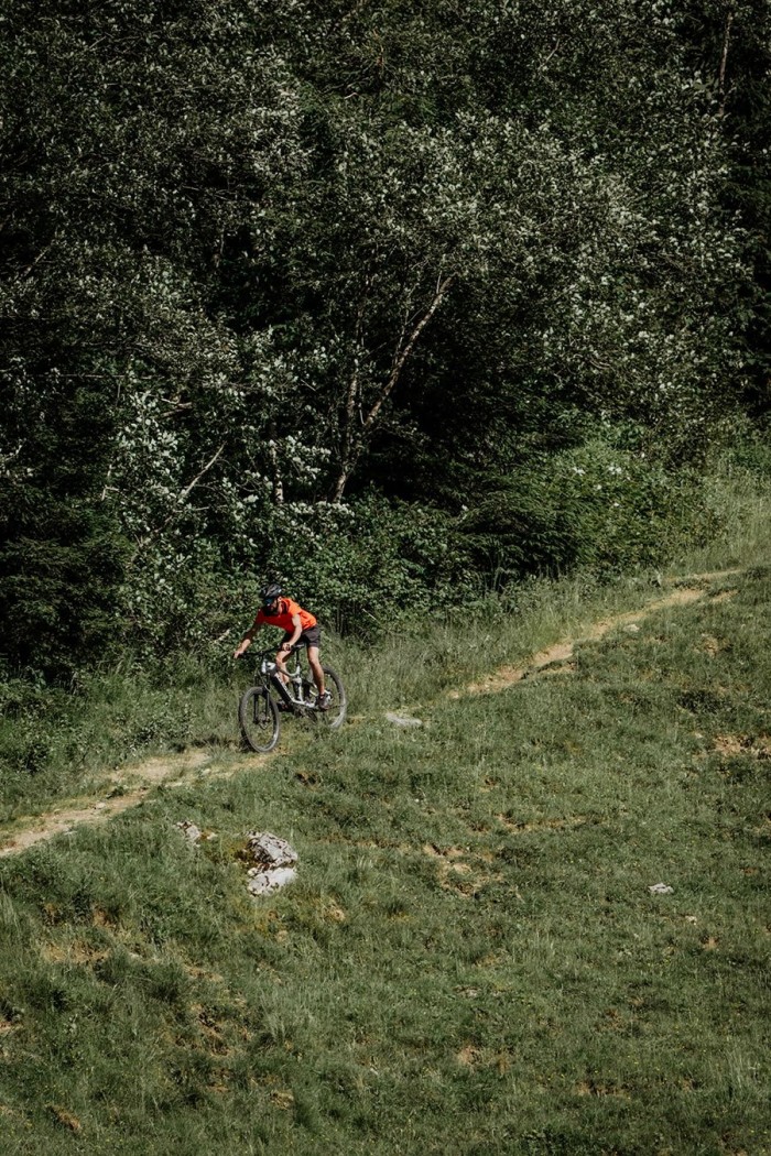 Eine Person fährt mit dem Mountainbike auf einem Waldweg bergab