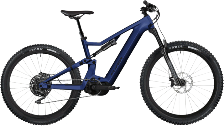 Flyer E-Bike