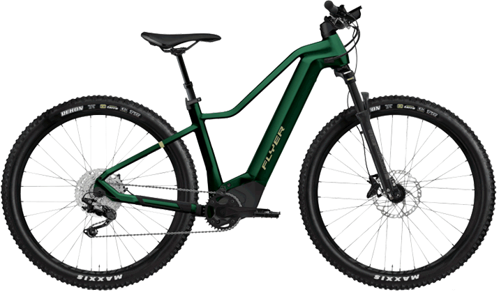 Flyer E-Bike
