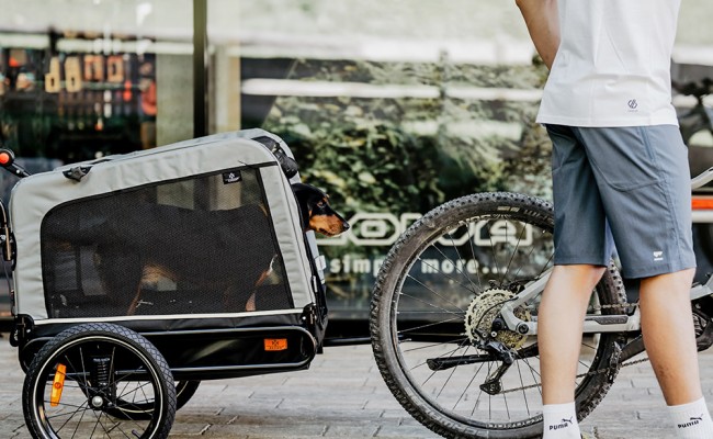 Mountainbiker mit Kinderanhänger